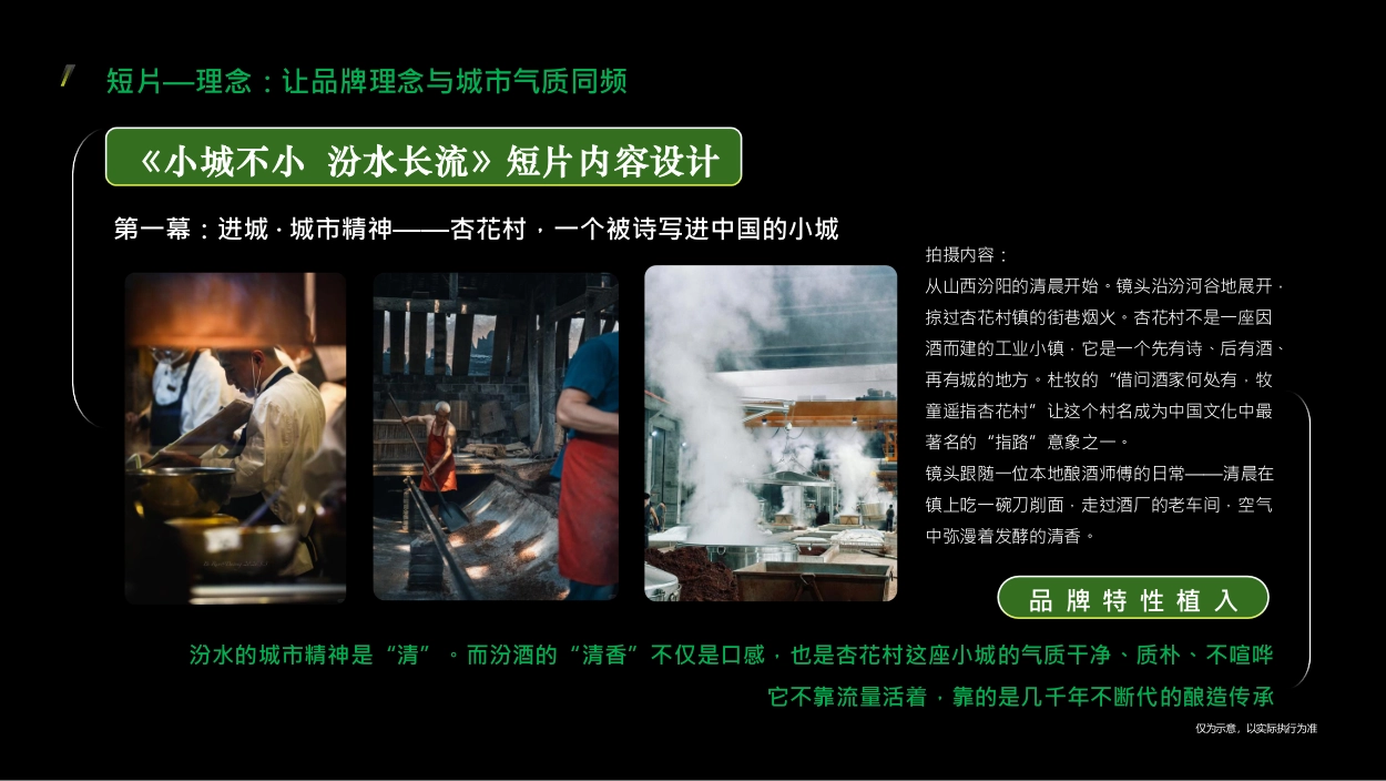 2026小城不小 品牌溯源营销方案_第10页